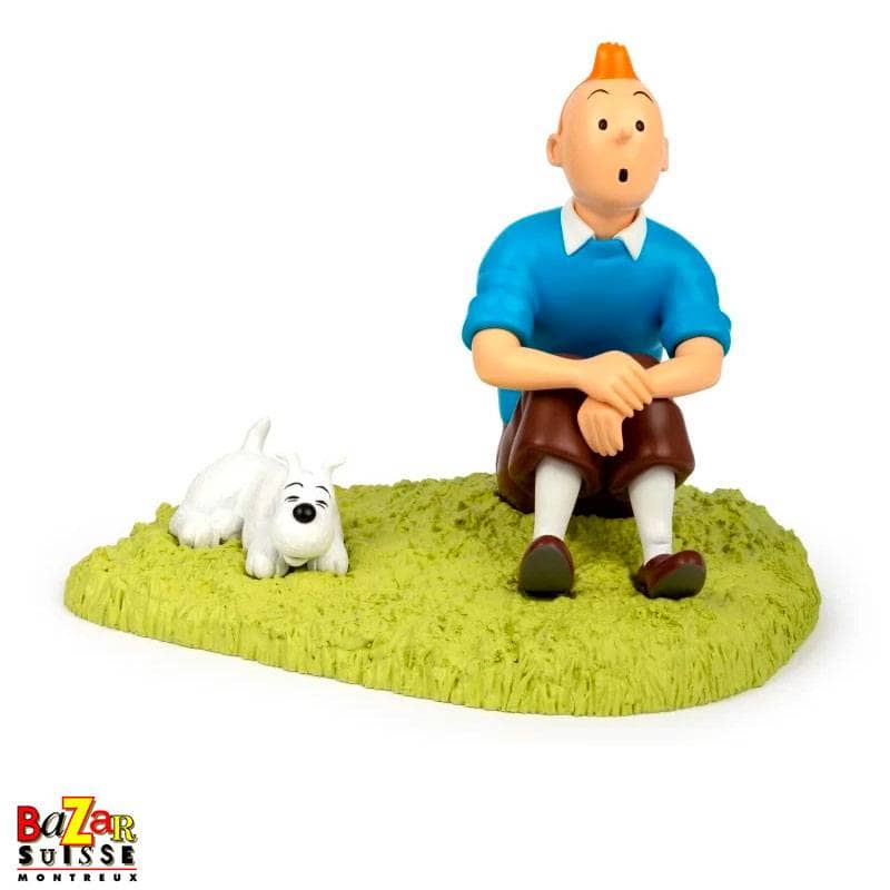 Figurine Tintin assis dans l’herbe
