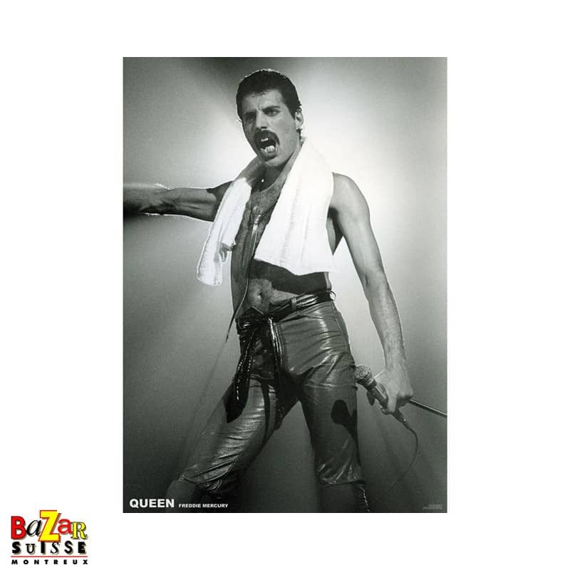 Freddie Mercury poster